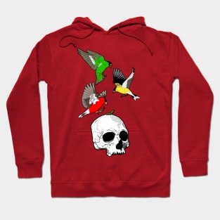 Bright Sparrows and a Skull Hoodie